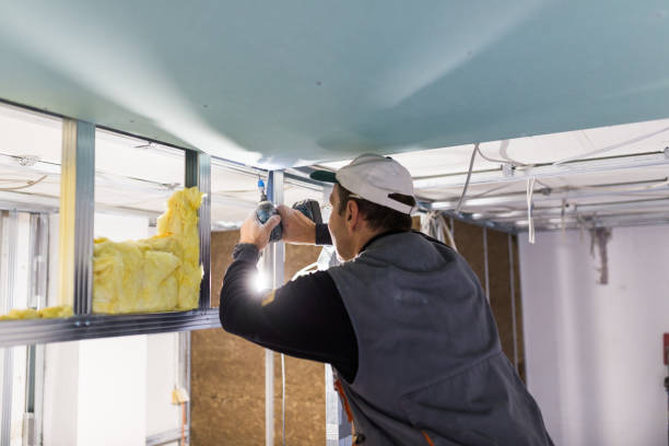 Best Energy-efficient Insulation  in Sound Beach, NY